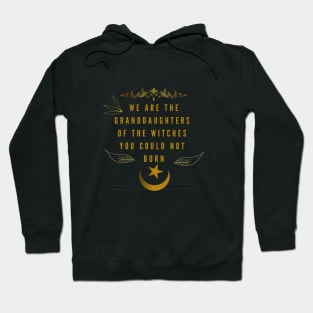 We are the granddaughters of the witches you could not burn Hoodie